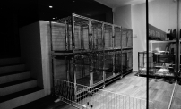 111 dsc00436 dsc00436